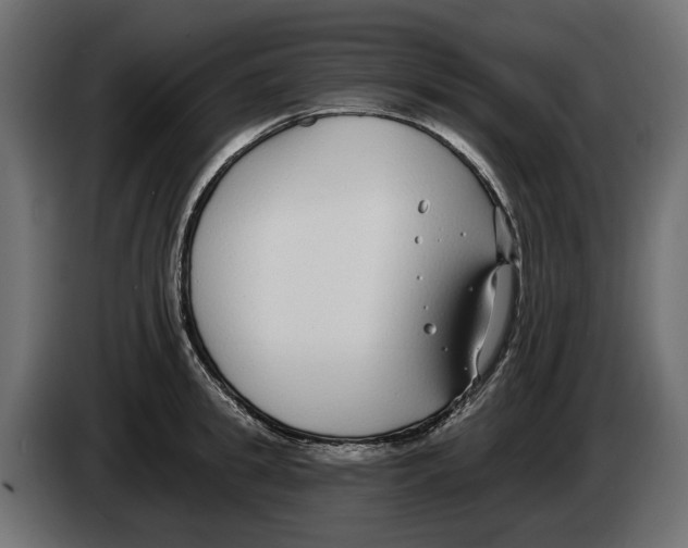 X0000083070949200703022153