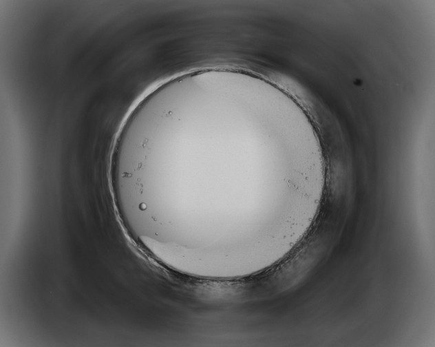 X0000083070950200703022153