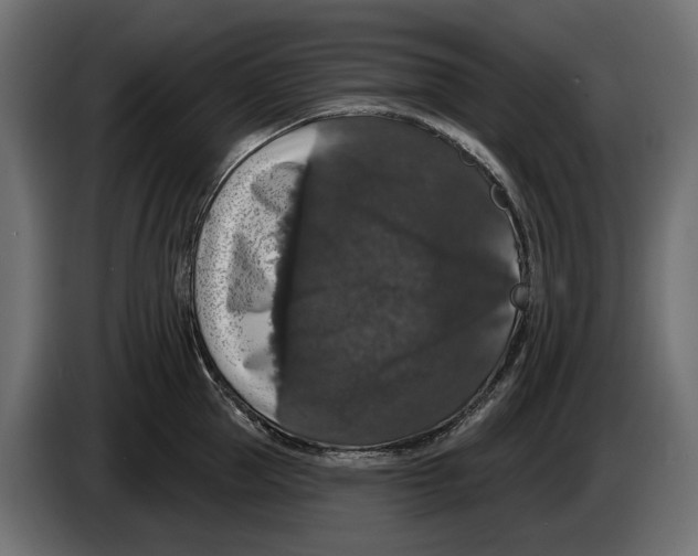 X0000083070953200703022153