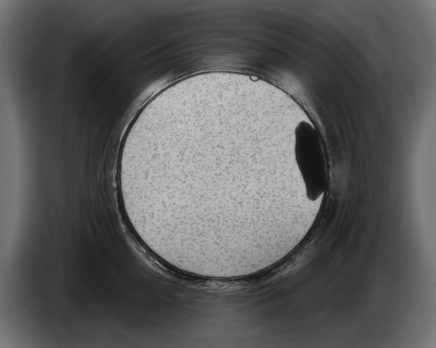 X0000083070954200703022153