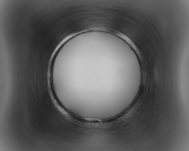 X0000083070955200703022153