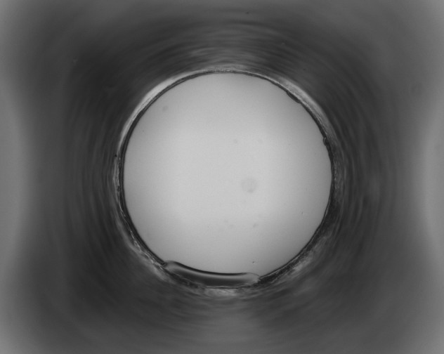 X0000083070956200703022153