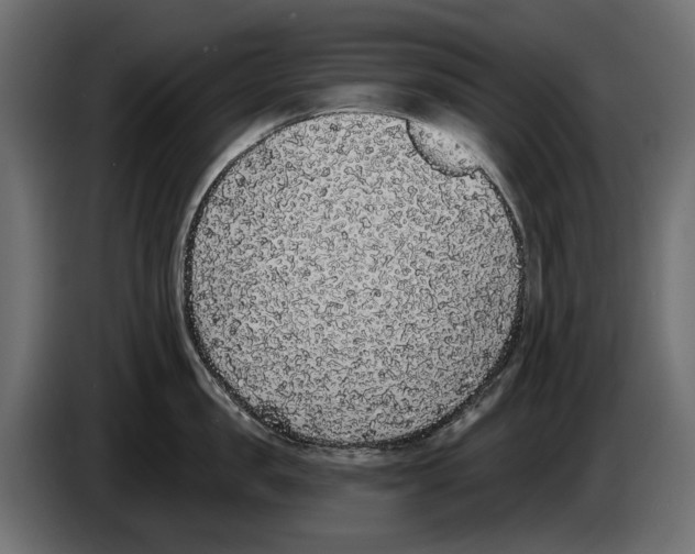 X0000083070957200703022153