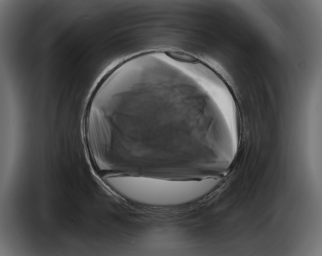 X0000083070958200703022153