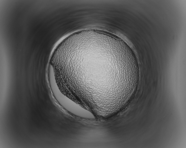 X0000083070960200703022154