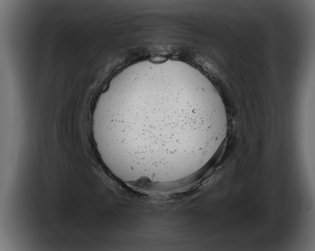 X0000083070961200703022153