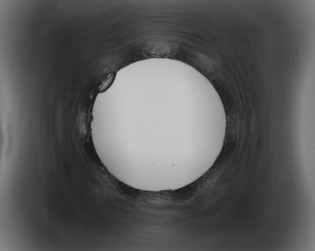 X0000083070962200703022153