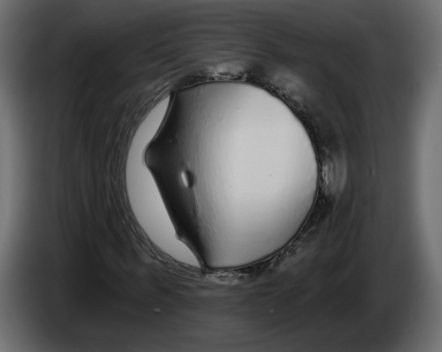 X0000083070963200703022153