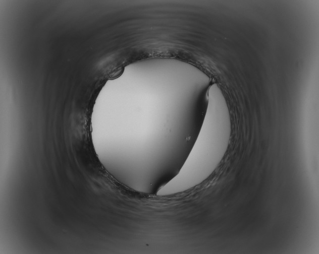 X0000083070964200703022153