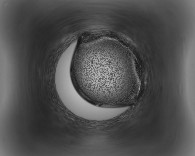 X0000083070965200703022153