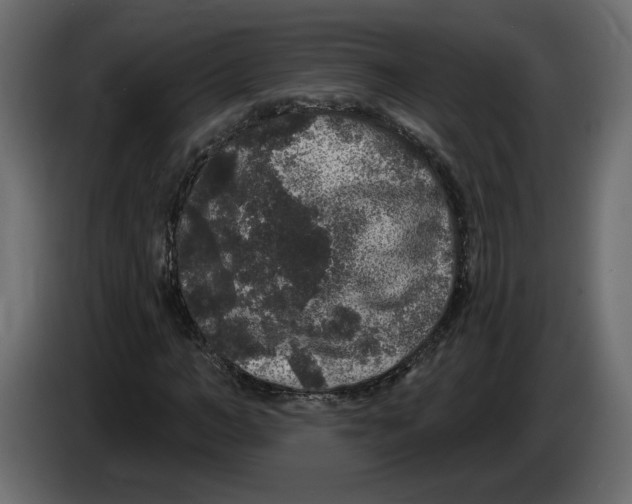 X0000083070966200703022153