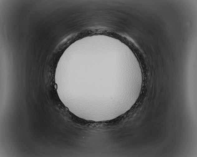 X0000083070967200703022153