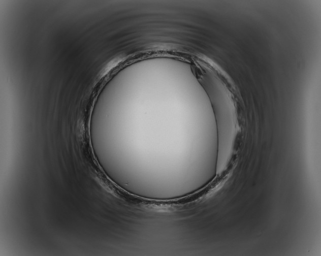 X0000083070969200703022153