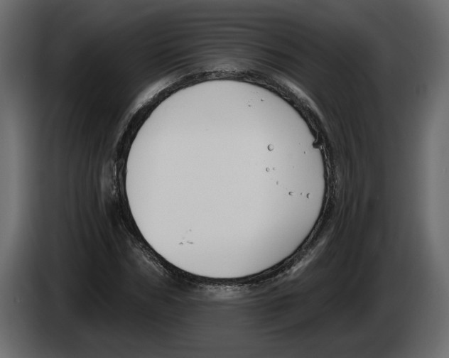 X0000083070970200703022153