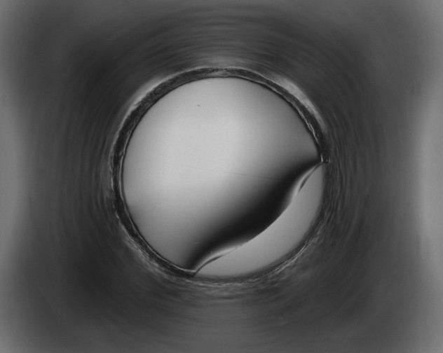 X0000083070972200703022153