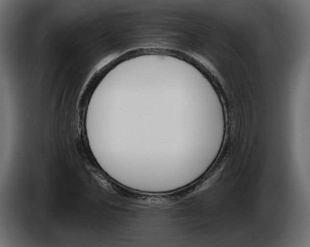 X0000083070974200703022153