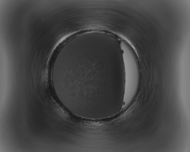 X0000083070975200703022153