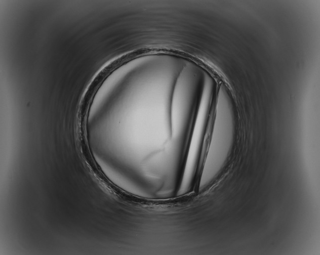 X0000083070976200703022153