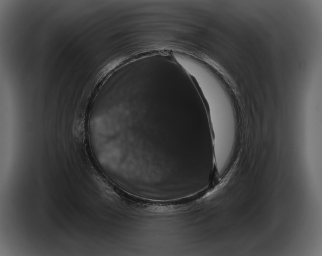 X0000083070977200703022153