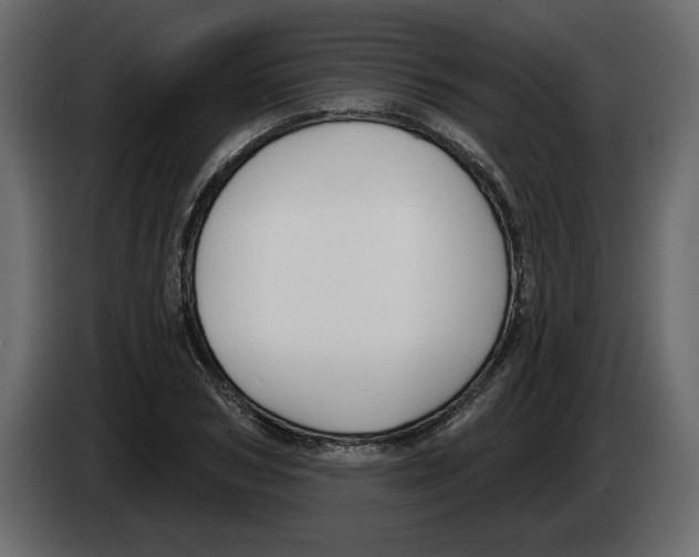 X0000083070978200703022153