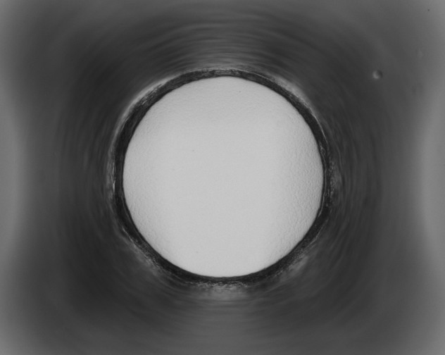 X0000083070979200703022153