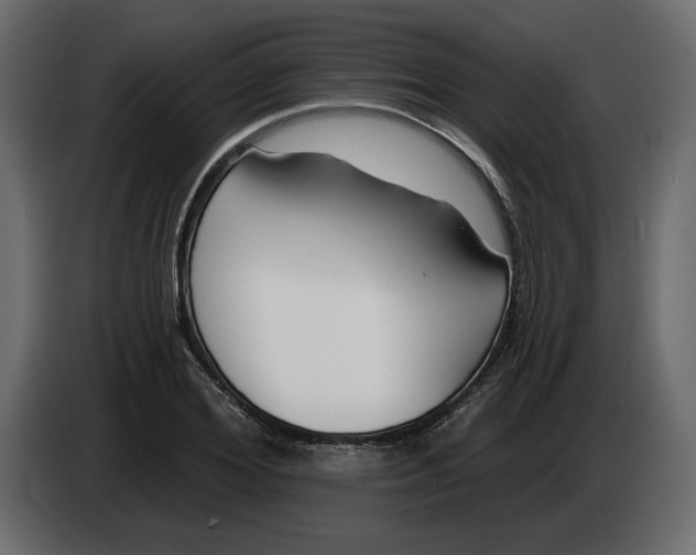 X0000083070980200703022153