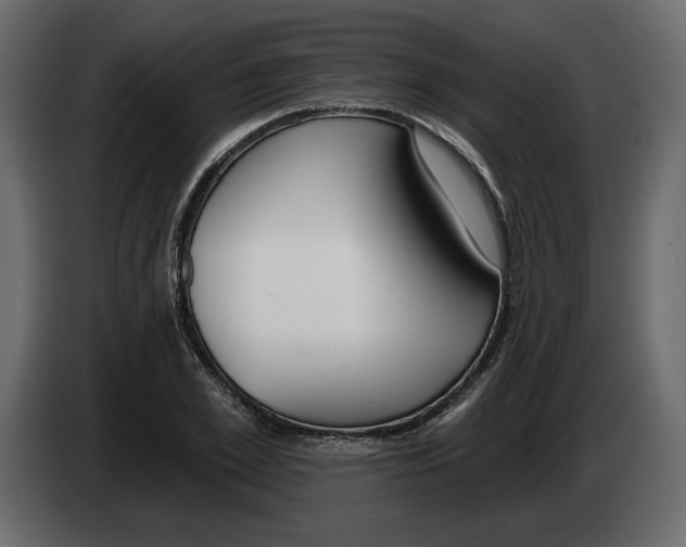 X0000083070981200703022153