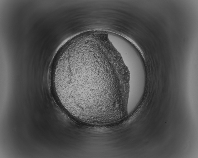 X0000083070983200703022153