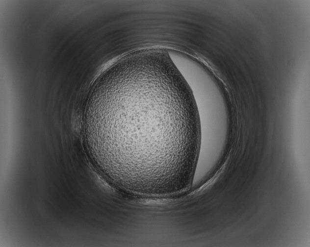 X0000083070985200703022152