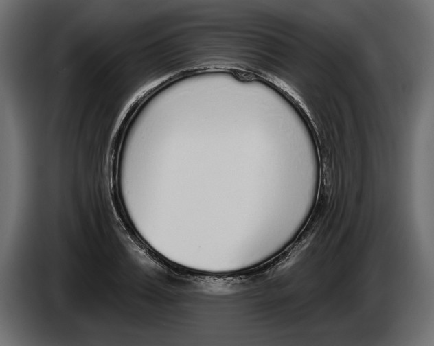 X0000083070987200703022152