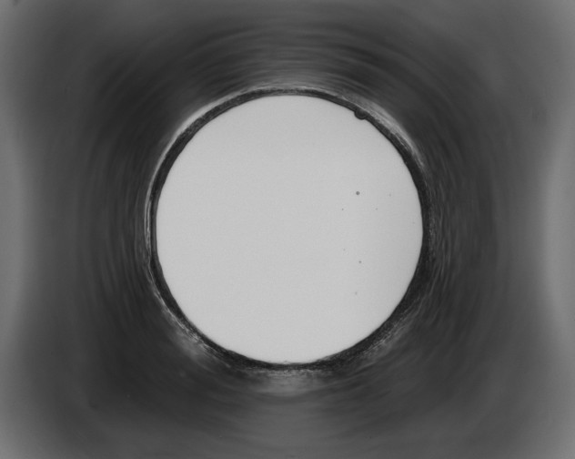 X0000083070988200703022152