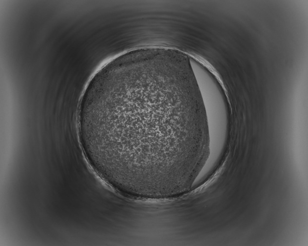 X0000083070989200703022152