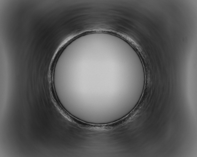 X0000083070990200703022152