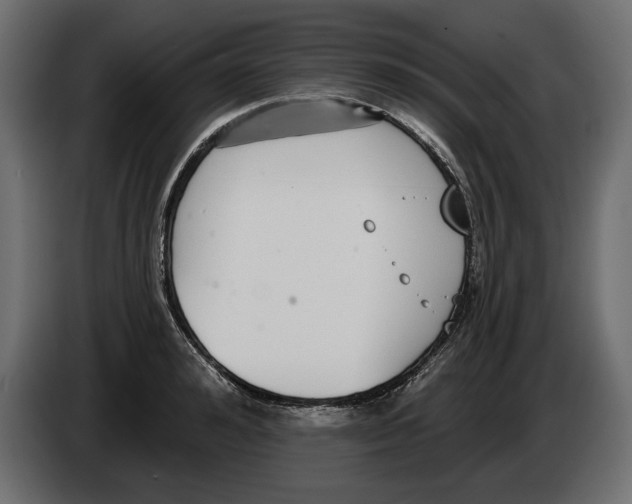 X0000083070992200703022152