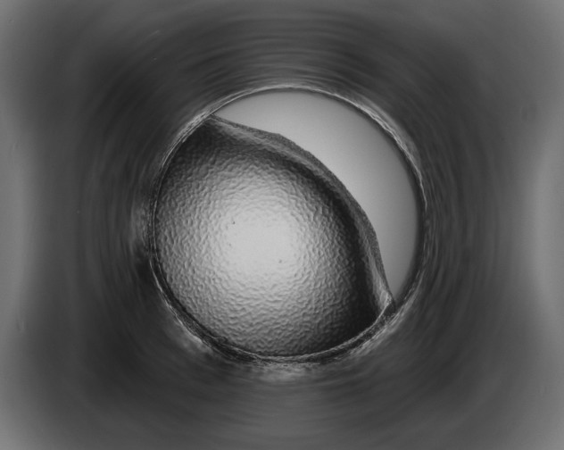 X0000083070993200703022152