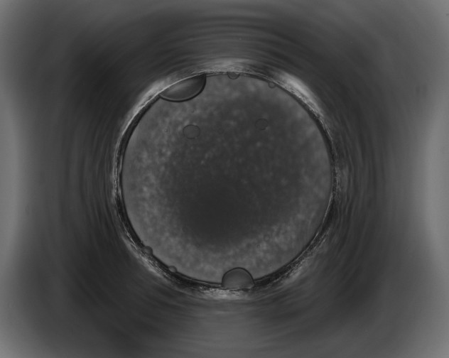 X0000083070994200703022152