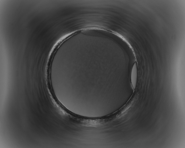 X0000083070995200703022152