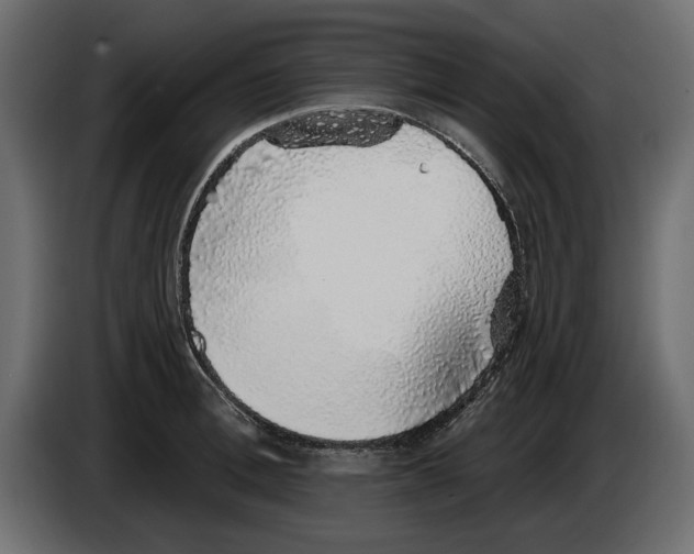 X0000083070996200703022152