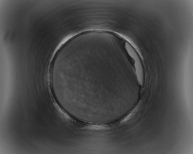 X0000083070998200703022152