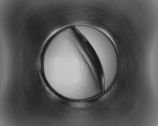 X0000083070999200703022152