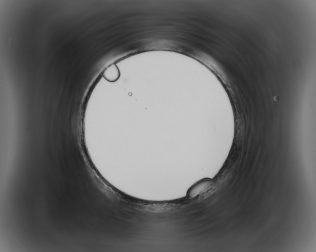 X0000083071000200703022152