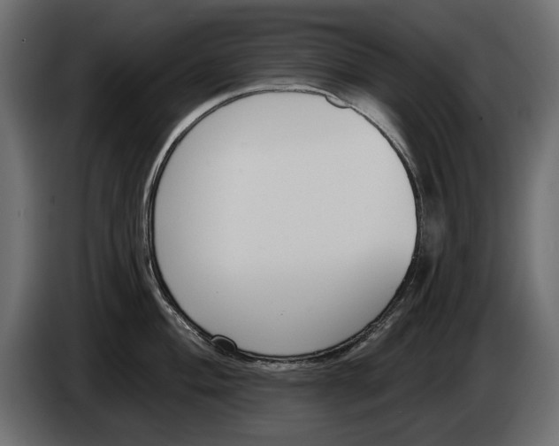 X0000083071004200703022152