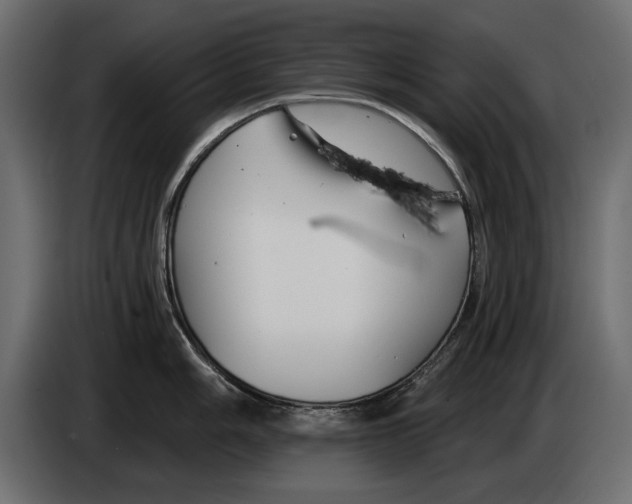 X0000083071006200703022152