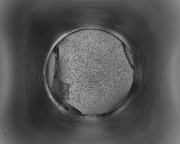 X0000083071007200703022152