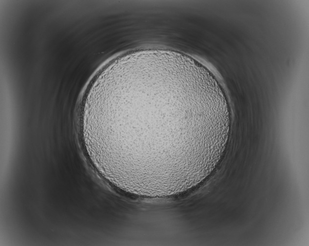 X0000083071008200703022152