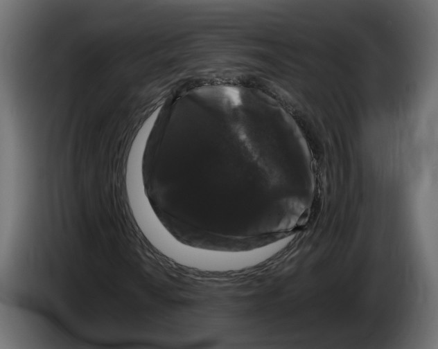 X0000083071010200703022151