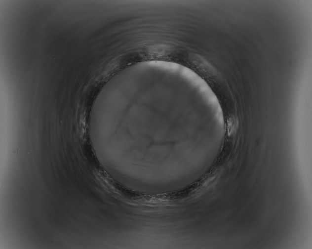 X0000083071011200703022152