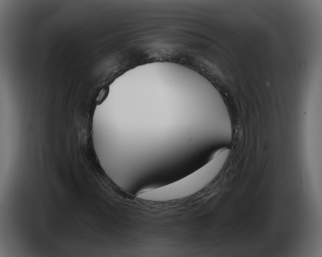 X0000083071012200703022152