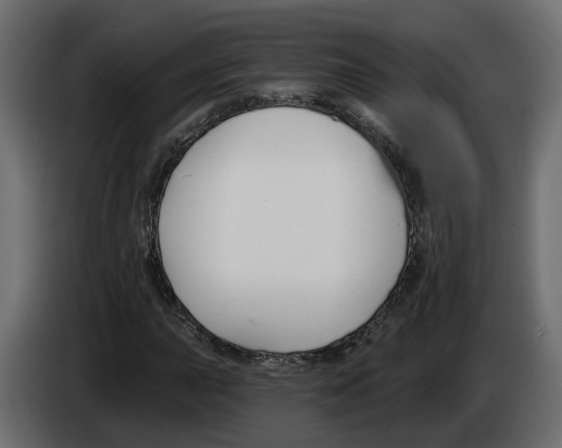 X0000083071015200703022152