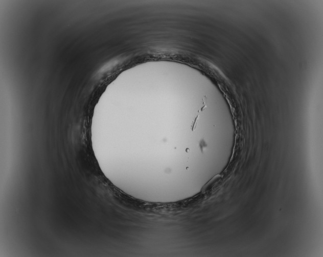 X0000083071016200703022152